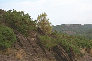 les hauteurs du val sans retour
