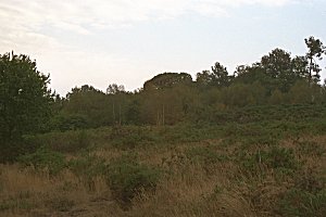 Landes 2