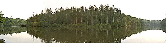 etang des forges