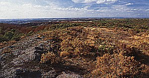 landes de gurwant