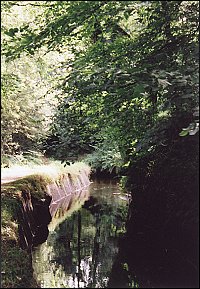 Au fil de l'eau (2)