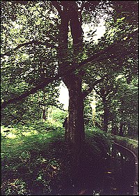 Au fil de l'eau (4)