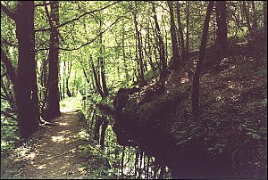 Au fil de l'eau (6)