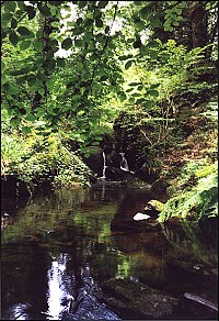 Au fil de l'eau (10)