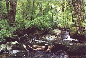 Au fil de l'eau (10)