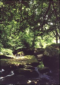 Au fil de l'eau (12)