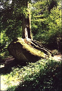 Au fil de l'eau (13)