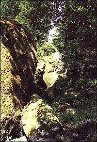 Au fil de l'eau (14)