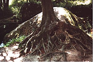 Au fil de l'eau (17)